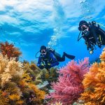 Pourquoi est-il nécessaire de plonger avec un binôme