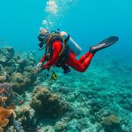 Pourquoi est-il recommandé de ne pas plonger seul