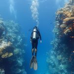 Qu’est-ce que la flottabilité neutre en plongée