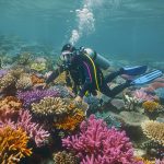 Quelle est la différence entre la plongée loisir et technique