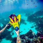 Pourquoi le choix du matériau est-il essentiel pour des palmes de plongée ?